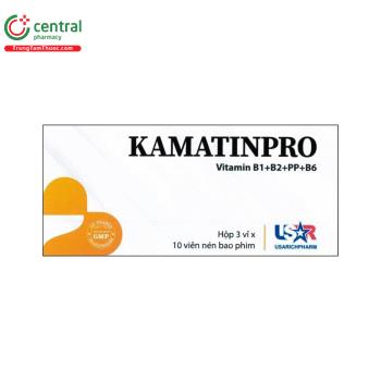 Kamatinpro