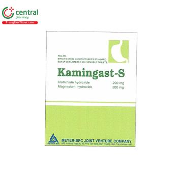 Kamingast-S