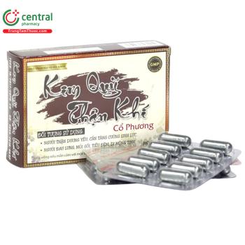 Kim Quỹ Thận Khí Cổ Phương 