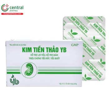 Kim Tiền Thảo YB