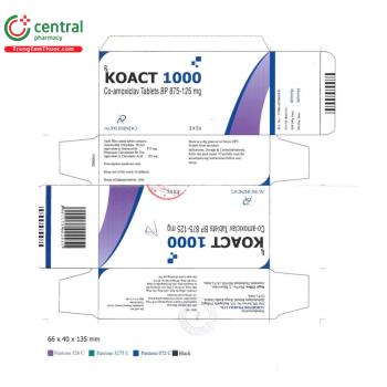 Thuốc Koact 1000 điều trị nhiễm khuẩn hô hấp, tiết niệu, mô mềm