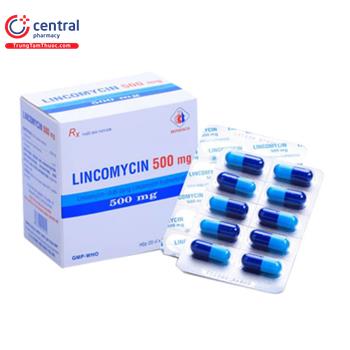 Lincomycin 500mg Domesco