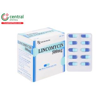 Lincomycin 500mg Enlie 