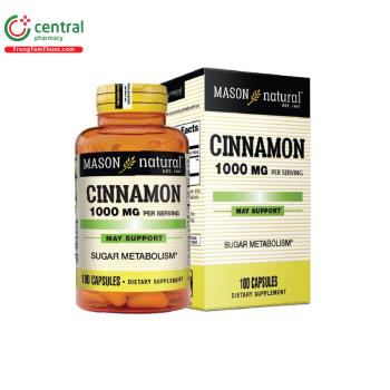 Mason Natural Cinnamon 1000mg