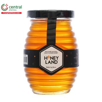 Mật ong Hoa Xuyến Chi Honey Land (250g)