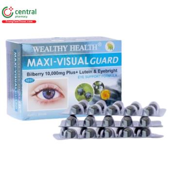 Maxi-Visual Guard 