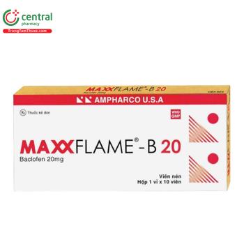Maxxflame-B 20