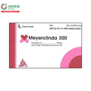 MEYERCLINDA 300