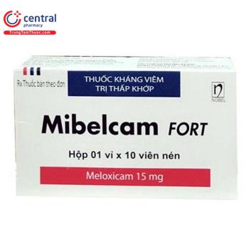 Mibelcam Fort