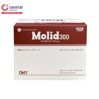 Molid 300