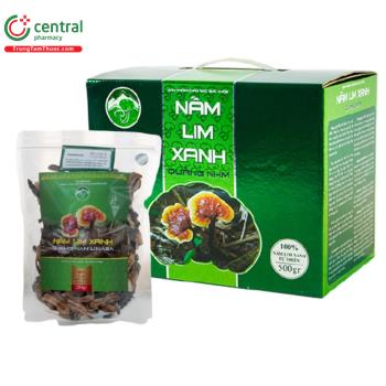 Nấm Lim Xanh Quảng Nam LINASA