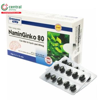 Naminginko 80mg