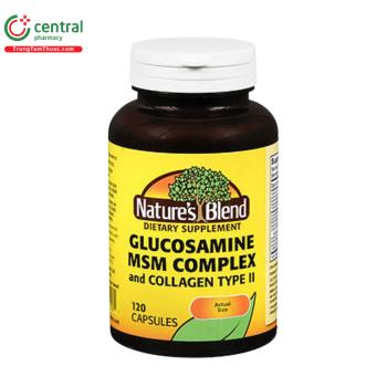Nature's Blend Glucosamine MSM Complex and Collagen Type II