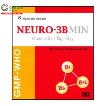 Neuro-3Bmin