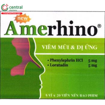 New AMERHINO