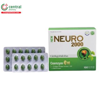 New Neuro 2000 