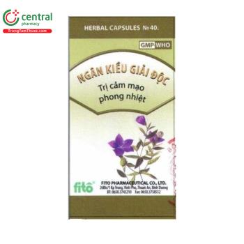 Ngân kiều giải độc Fito Pharma 