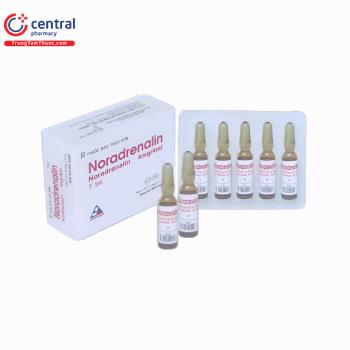 Noradrenalin 4 mg/4ml Vinphaco