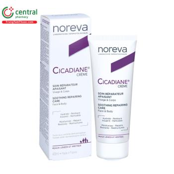 Noreva Cicadiane Soothing Repairing Care Cream
