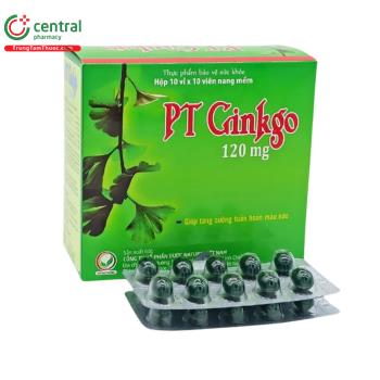 PT Ginkgo 120mg