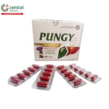 Pungy