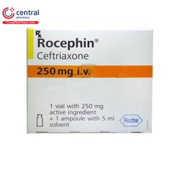 Rocephin 250mg i.v