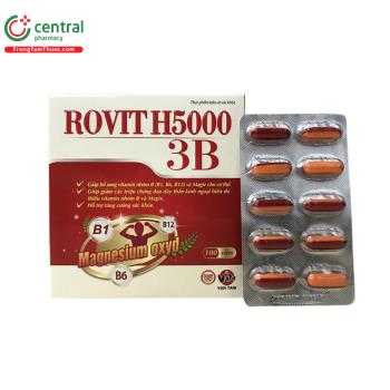 Rovit H5000 3B