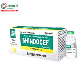 Shindocef 1g