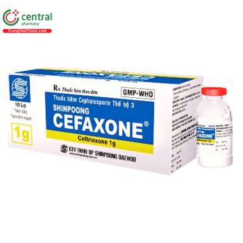 Shinpoog Cefaxone 1g