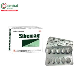 Sibemag