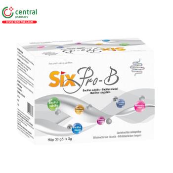 Six Pro-B