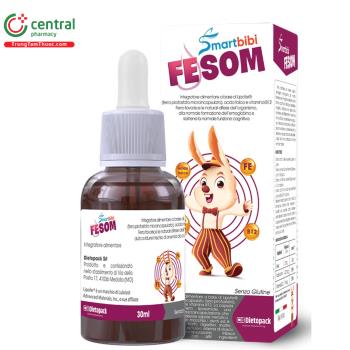 Smartbibi Fesom