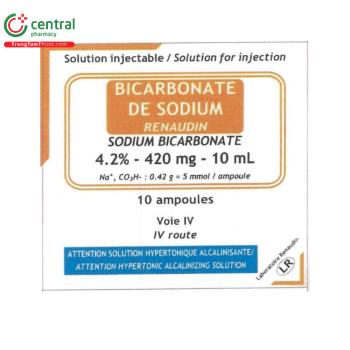 Sodium Bicarbonate Renaudin 4,2%