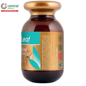 SpringLeaf Glucosamine 1500 Plus Chondroitin hỗ trợ sức khỏe sụn, khớp