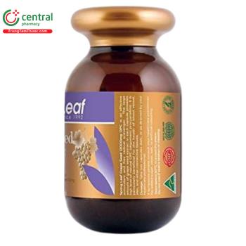 SpringLeaf Grape Seed 12000mg OPC hỗ trợ sức khỏe tim mạch, giảm oxy hóa