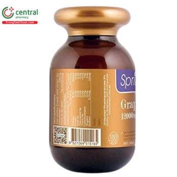 SpringLeaf Grape Seed 12000mg OPC hỗ trợ sức khỏe tim mạch, giảm oxy hóa
