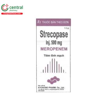 Strecopase Inj 500mg