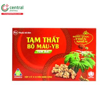 Tam thất bổ máu - YB