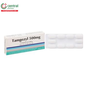 Tamgezyl 500mg