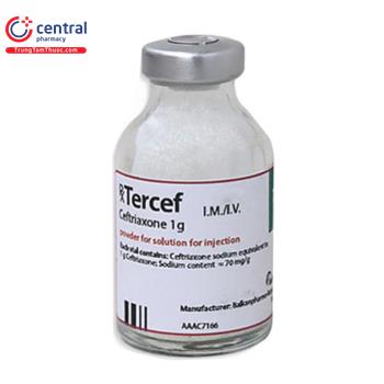 Thuốc Tercef 1g: Cách dùng - liều dùng, lưu ý khi sử dụng