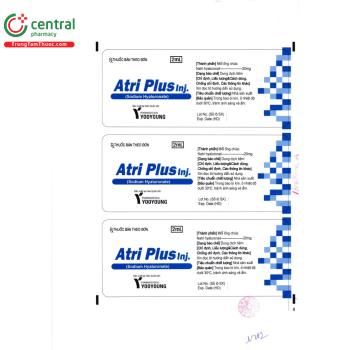 Thuốc Atri Plus Inj. 20mg/2ml điều trị đau trong viêm xương khớp