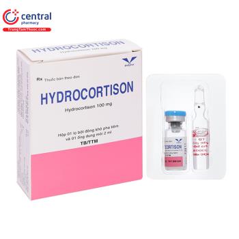 Hydrocortisone 100mg Bidiphar 