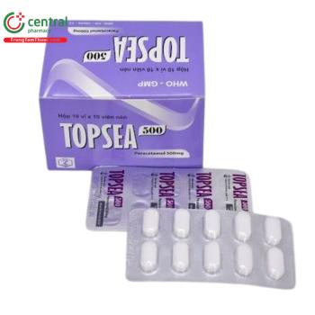 Topsea 500