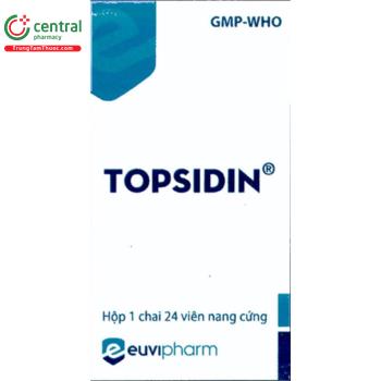 Topsidin 