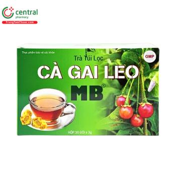 Trà Túi Lọc Cà Gai Leo MB