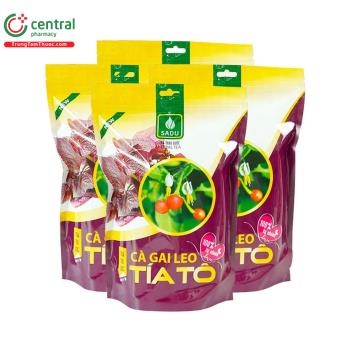 Trà túi lọc Cà gai leo Tía tô Sadu