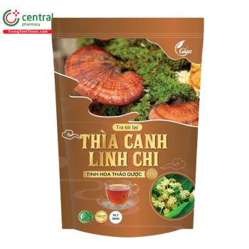 Trà túi lọc Thìa Canh Linh Chi GiGa
