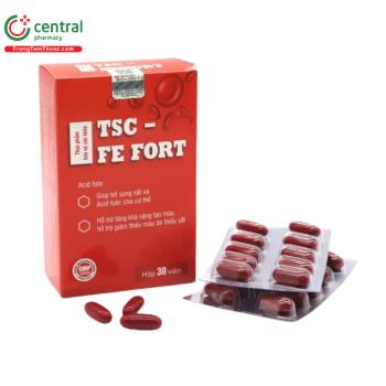 TSC-Fe Fort