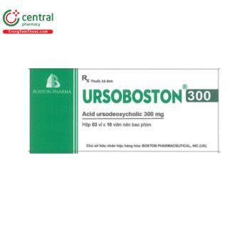 Ursoboston 300