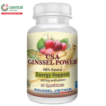 USA Ginssel Power